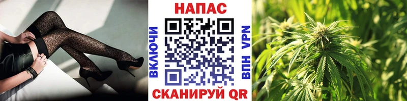 Бошки марихуана MAZAR  наркота  Одинцово 
